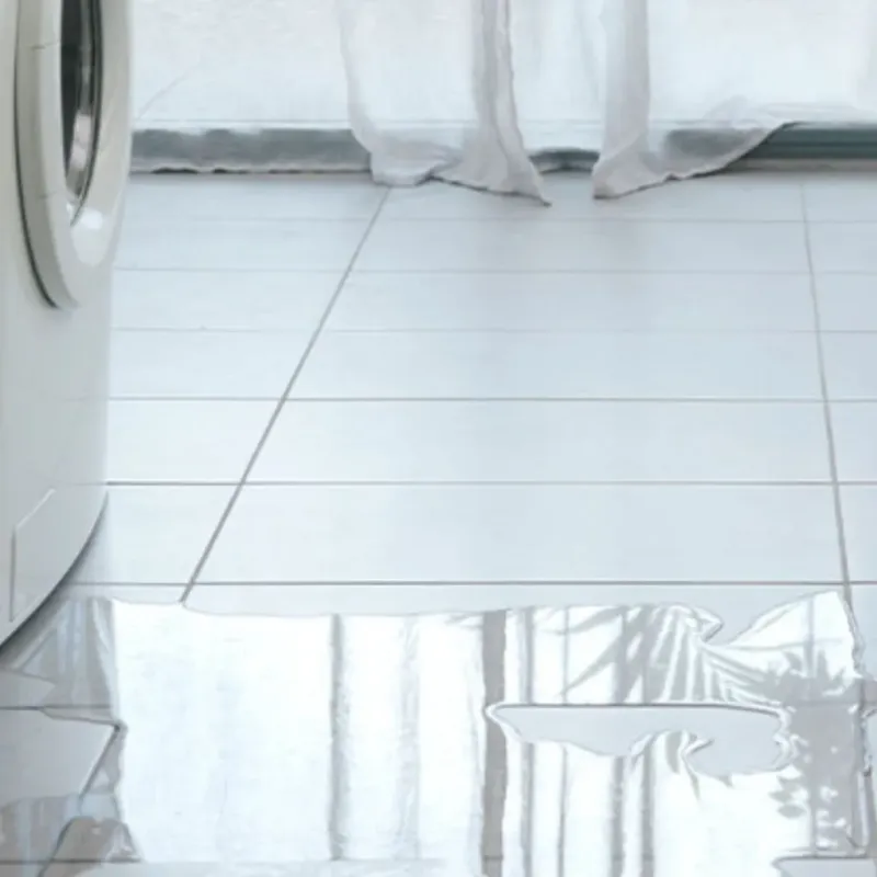 Appliance Leak Cleanup in Chicago, IL